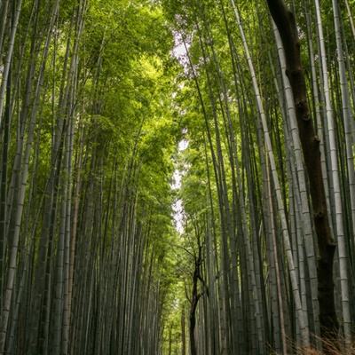 加强区域联动 开拓金融协同发展新路径